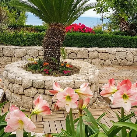 Grand View דרזניצה