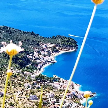 Grand View *