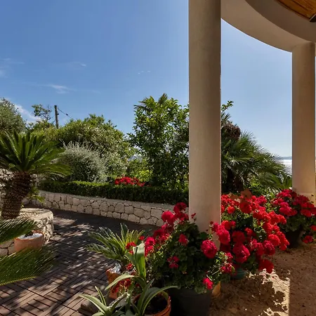 Grand View Drašnice