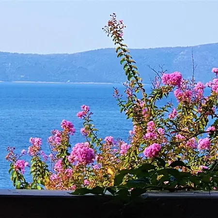 Grand View