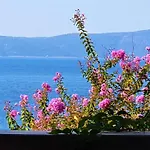 Grand View
