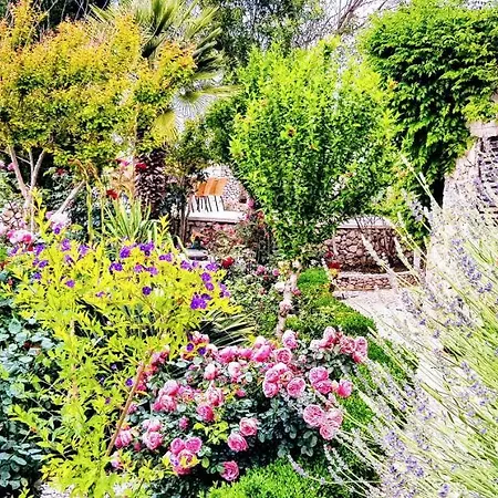 Apartment Grand View