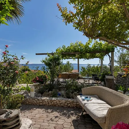 Grand View * Drasnice