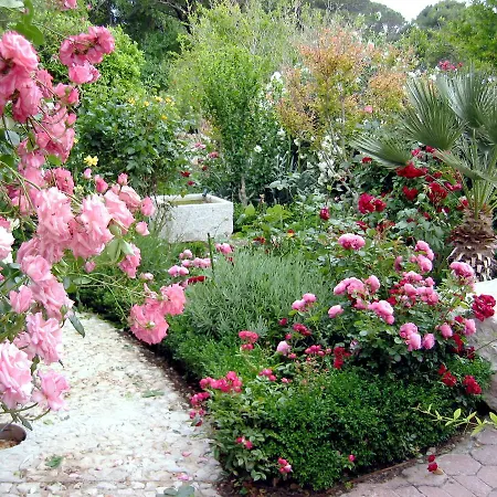 Grand View Apartment Drasnice