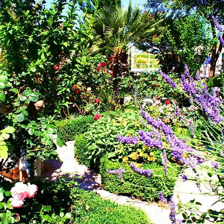 Grand View * Drasnice