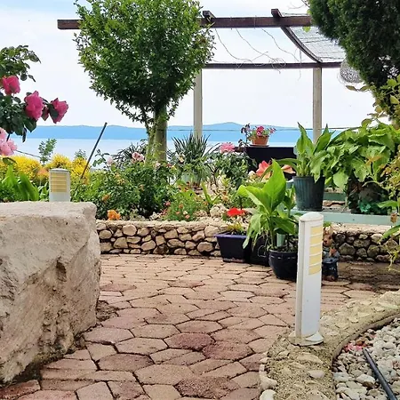 Grand View * Drasnice