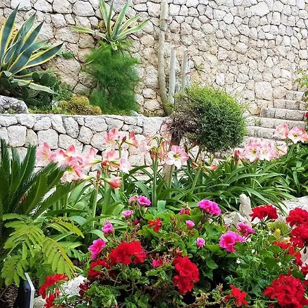 Grand View Apartment *