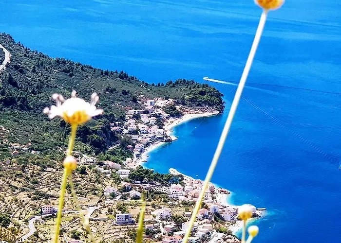 Grand View *