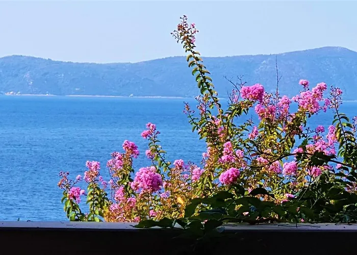 Grand View